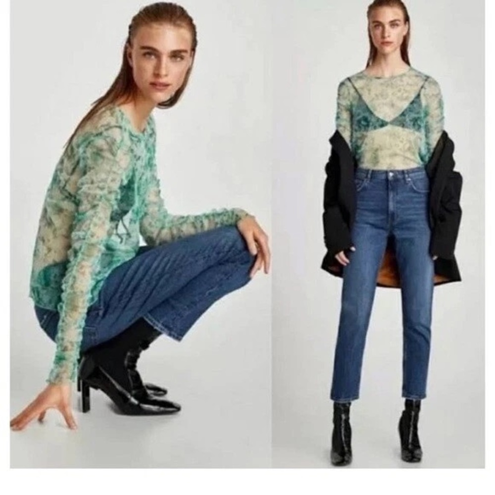 Zara Sheer Long Sleeve Top